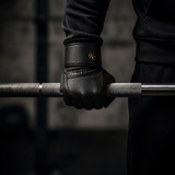 THE CREED TRAINING GLOVE